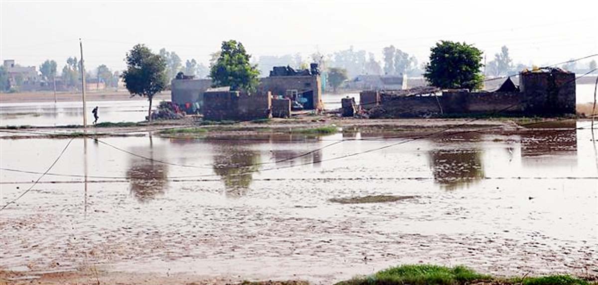 Even after three months, houses are still submerged in Lohian village of Jalandhar