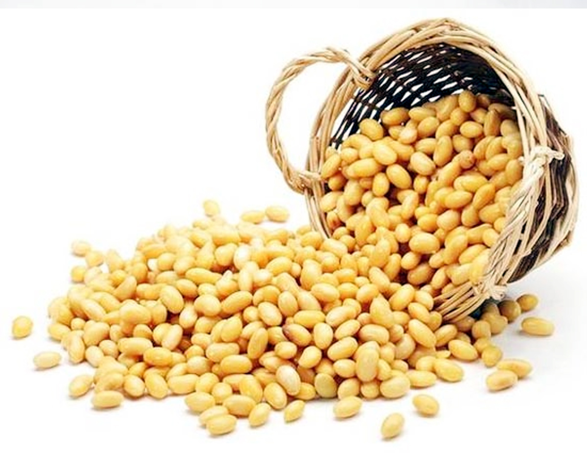 Consuming soybean to prevent hair fall, know its benefits