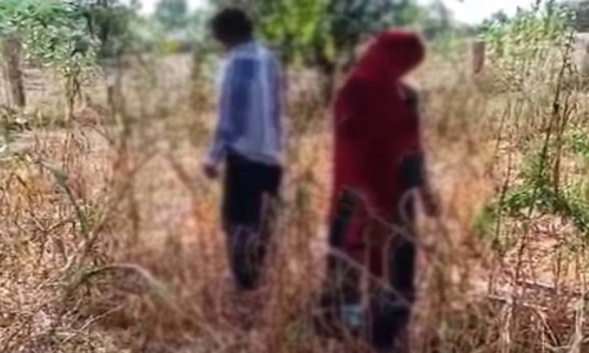 Forest, two hanging bodies found, death, Jodhpur, Rajasthan, dead body of man and woman