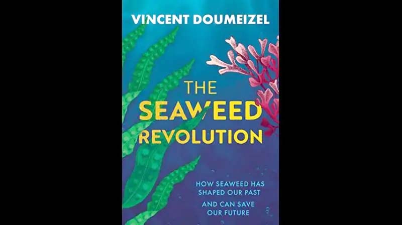 Climate change is upon us all, but can seaweed save the planet?