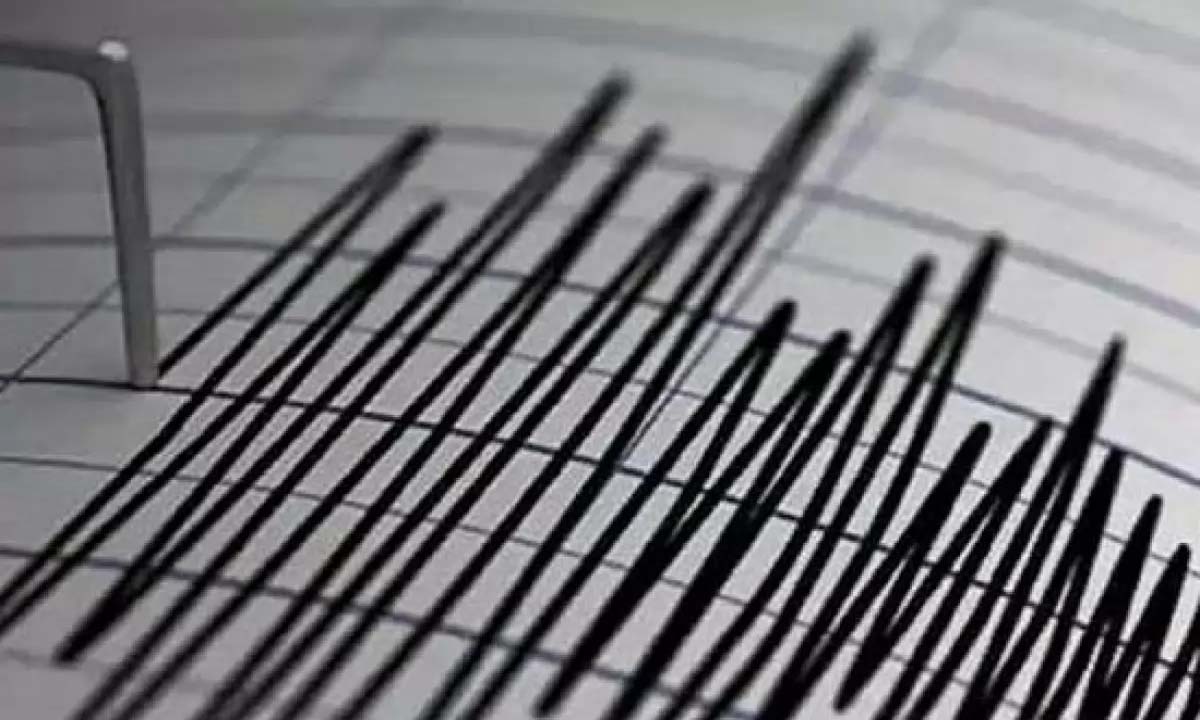 Earthquake of 4.8 magnitude hits Sudurpashchim province of Nepal, no death