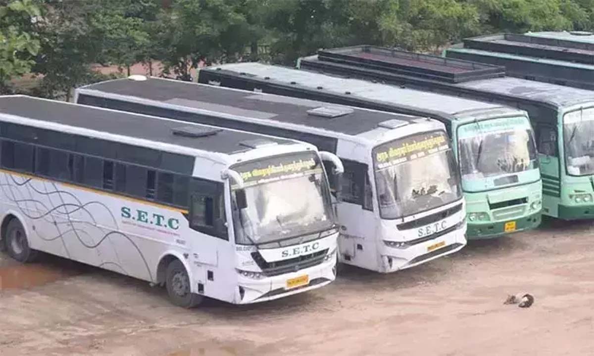 Ayudha Puja: Tamil Nadu Transport Department to operate 8,000 buses