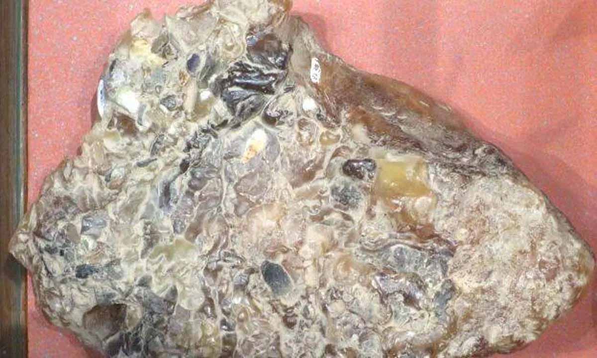 Two arrested for trying to sell ambergris worth Rs 5 crore