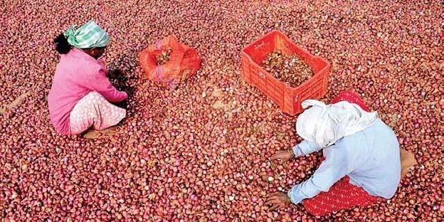 Odisha orders action against onion hoarders