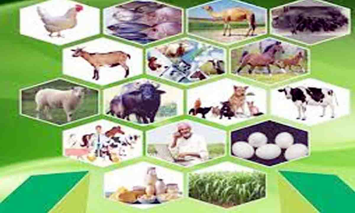 Explain the benefits of scientific dairy management