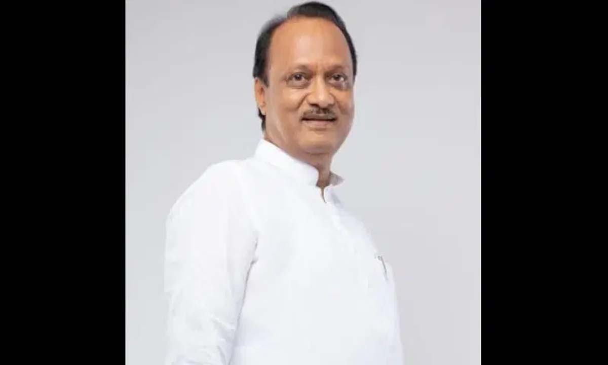 Maharashtra government stable under Shinde's leadership: Ajit Pawar