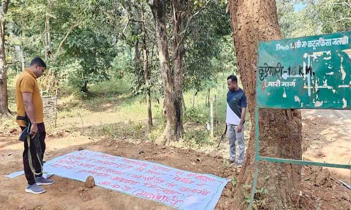 Naxalite, elections, Keshkal assembly of Kondagaon, Bastar, voting