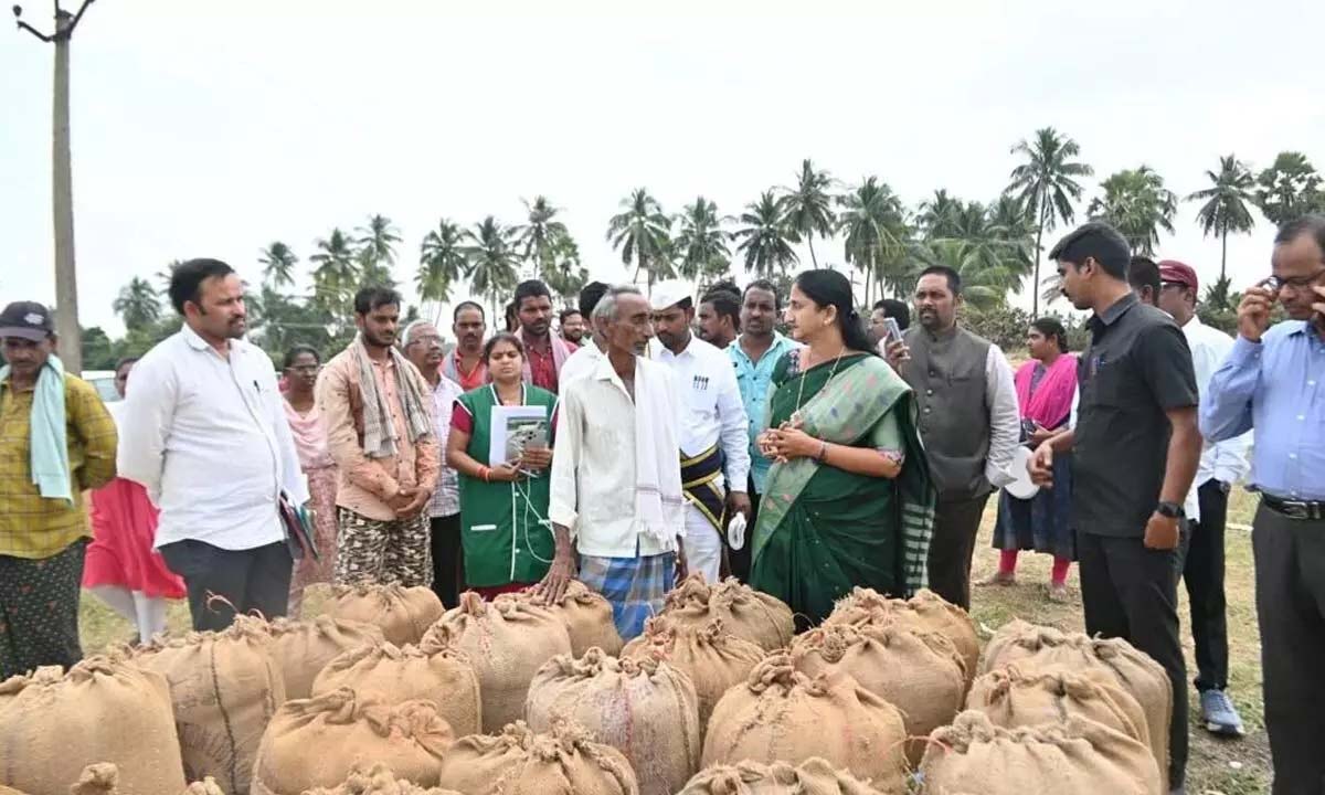 Paddy procurement started at 169 centers
