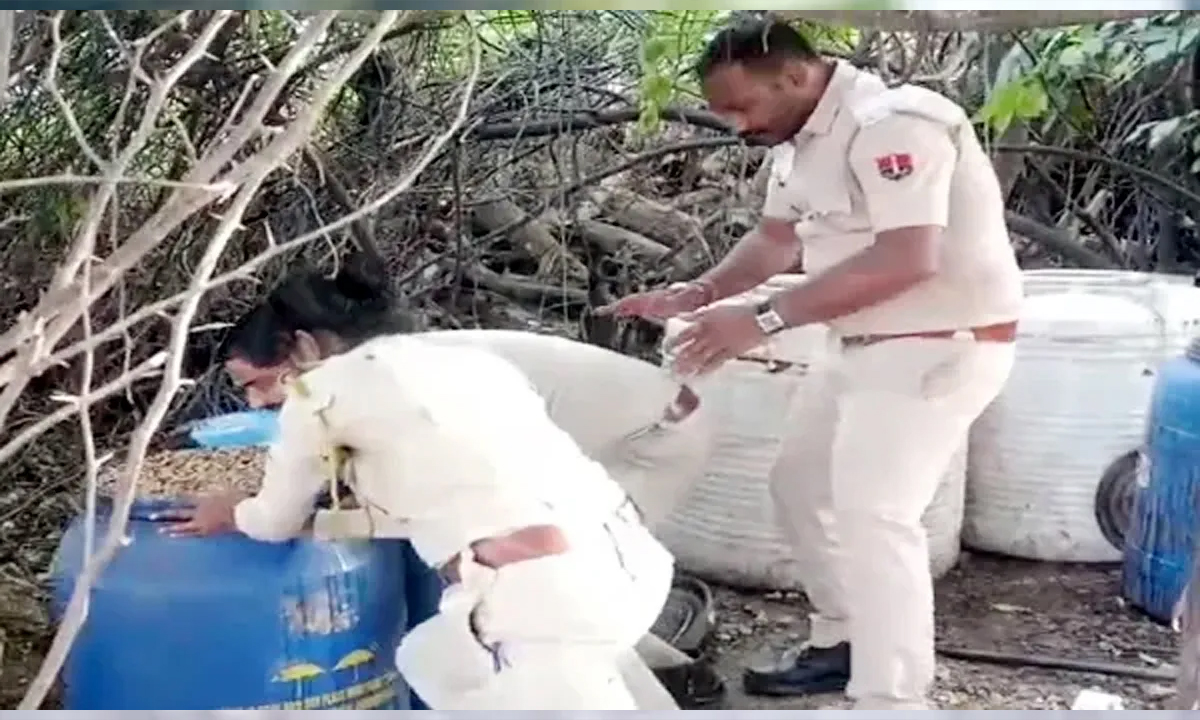 Police destroyed 1500 liters of Mahua wash