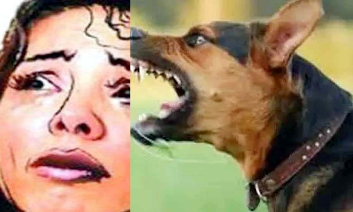 Dog bites female doctor on face