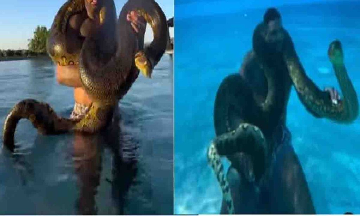 Man poses with giant anaconda inside the pool