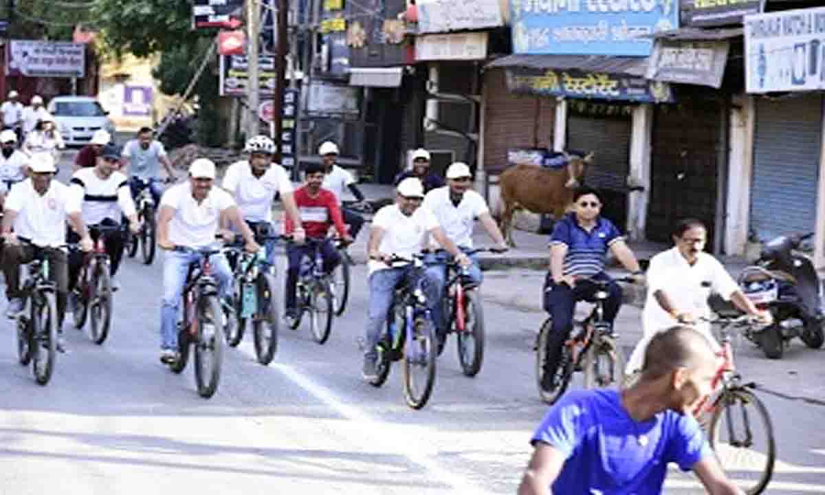 Collector gives green signal to sweep cycle rally