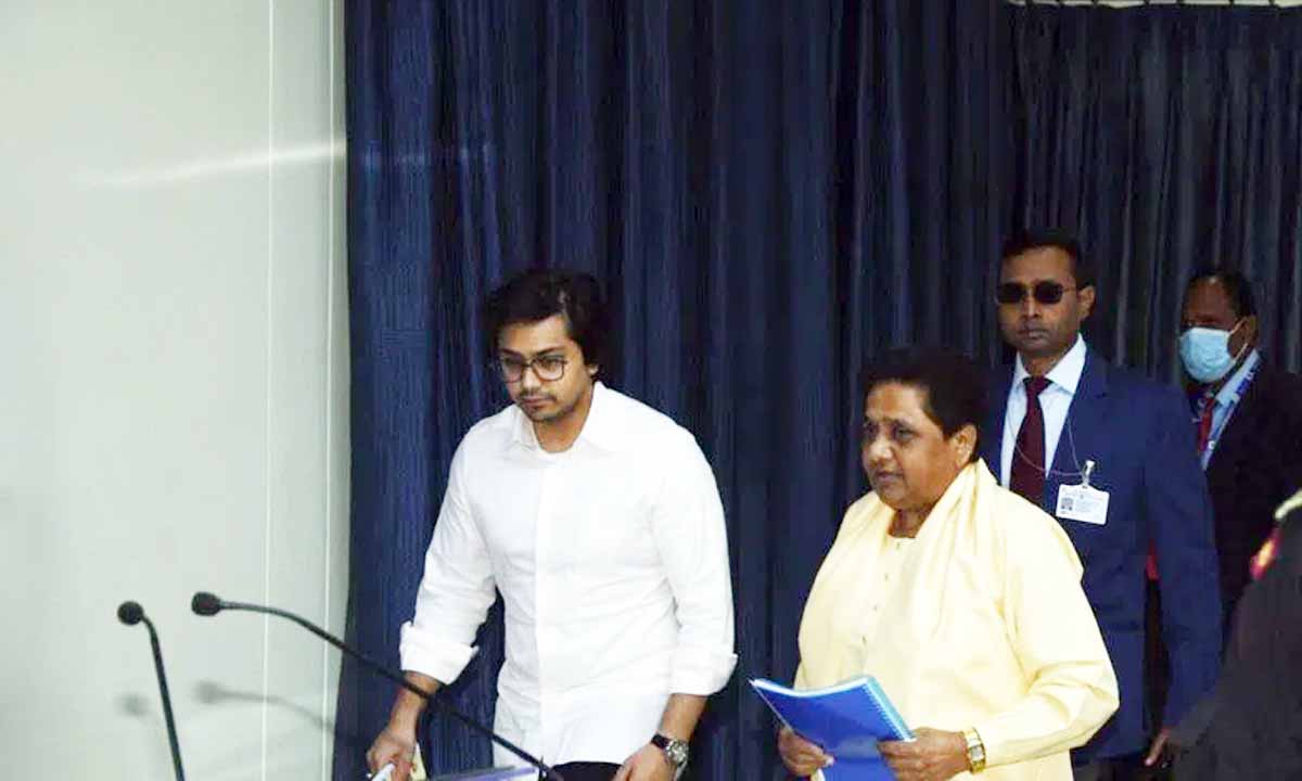 Party leader said BSP chief Mayawati declared nephew Akash Anand as 'successor'