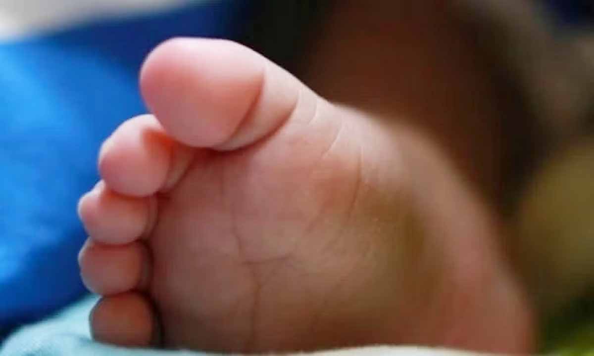 Dead body of a newborn baby found in the dustbin of the hospital