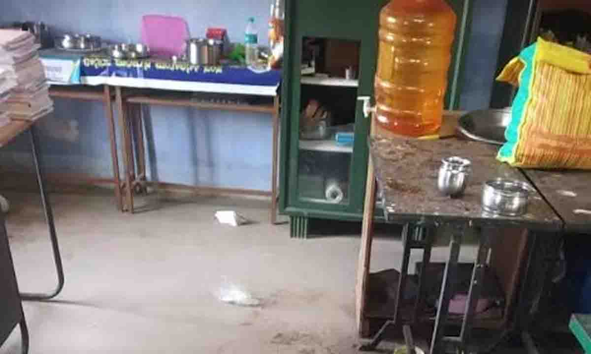 Bear gets admission in Karnataka school, feasts on food items