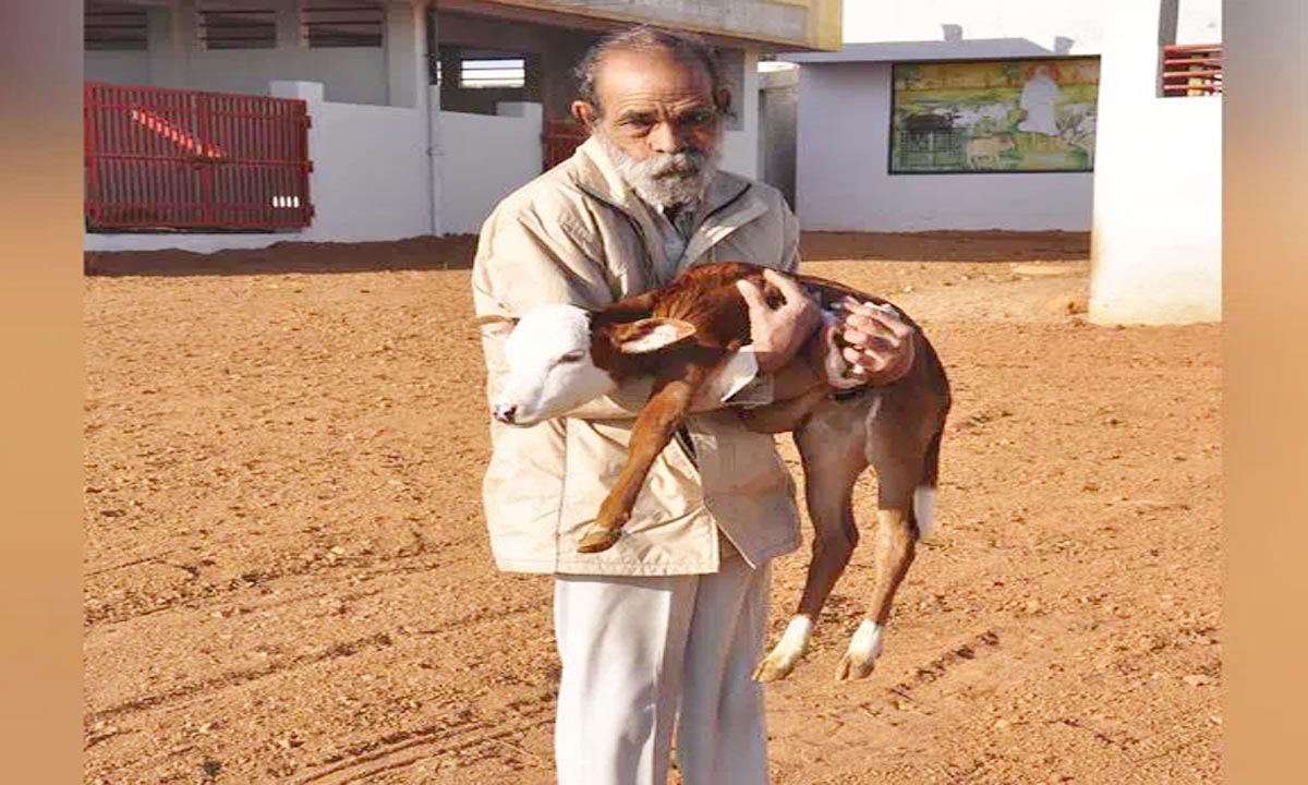 Grand Annakoot ceremony organized in Hyderabad on Sunday