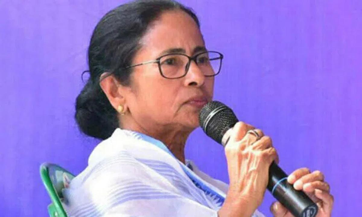 Mamta Banerjee plucking tea leaves in Makaibari tea garden