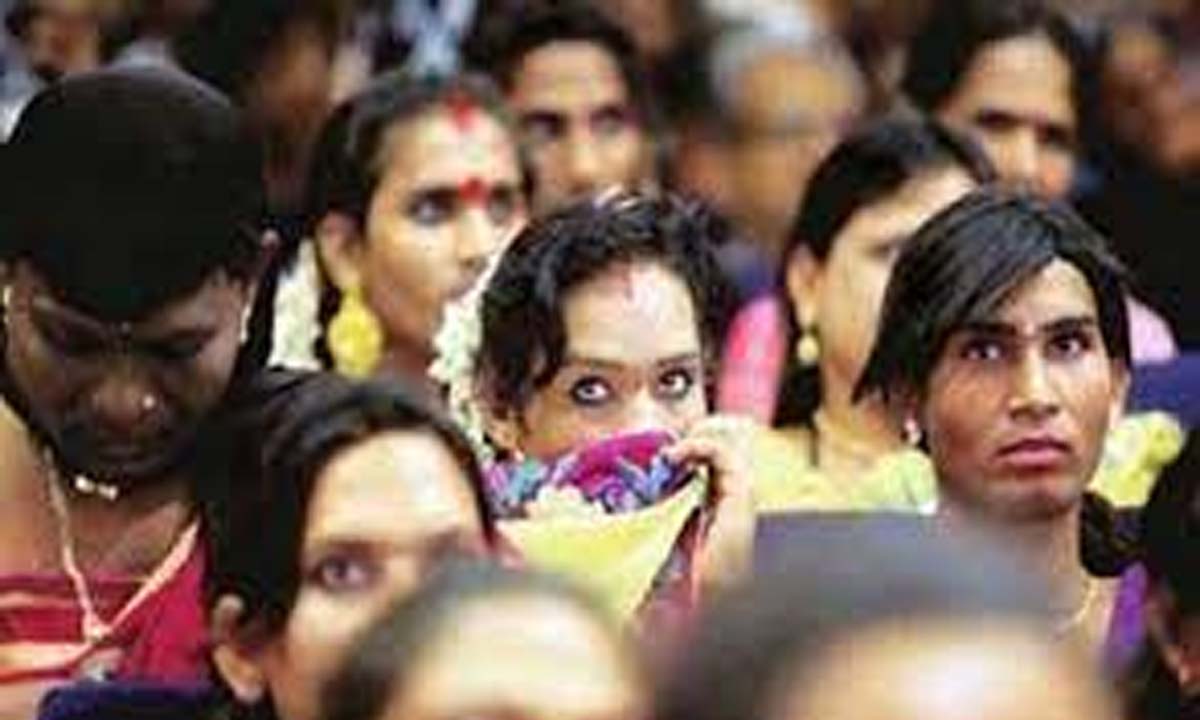 Government will develop transgender policy