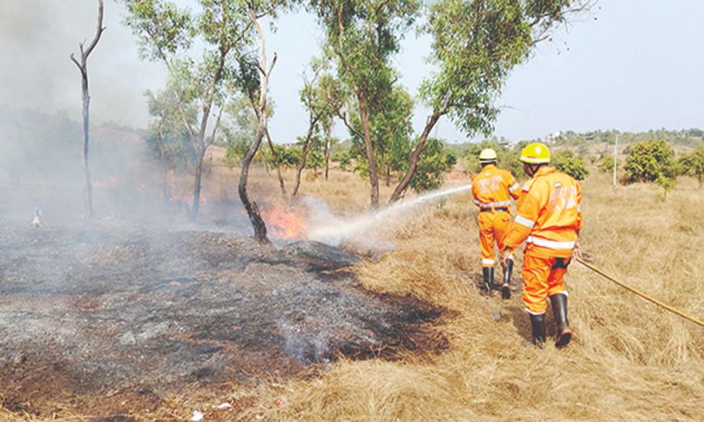 Mischievous elements set fire to dry grass behind Aldona PHC