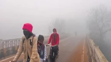 Odisha News: Cold wave continues, IMD issues fog warning for 13 districts