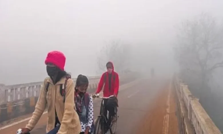 Odisha News: Cold wave continues, IMD issues fog warning for 13 districts