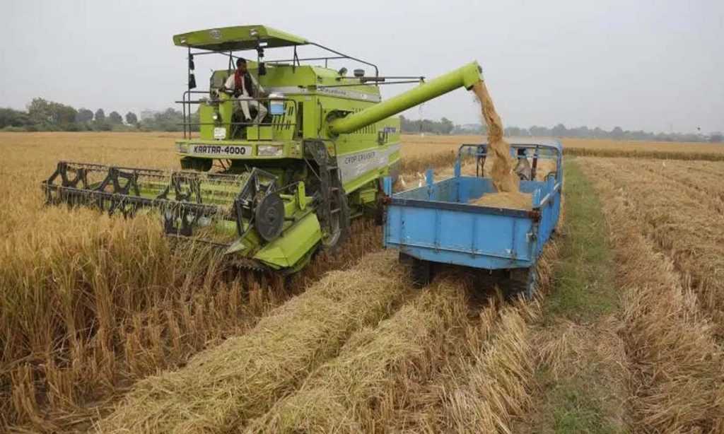 Andhra Pradesh government will purchase Kharif paddy till March