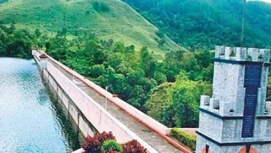 Tamil Nadu: Incessant rains in catchment areas increase dam storage to 90% in southern districts