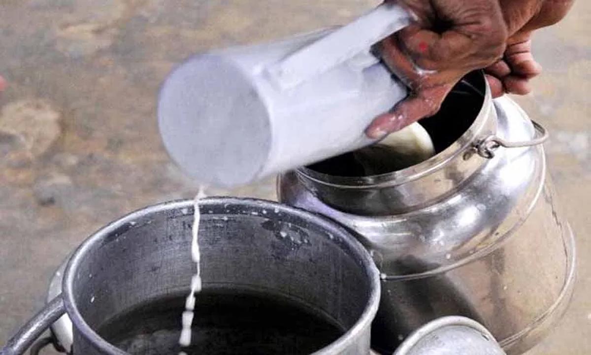 Strict action will be taken against those who adulterate milk