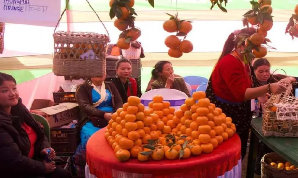 Second edition of two-day orange festival at Mungpoo, Darjeeling