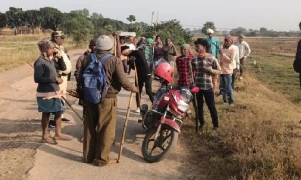 22 people arrested for trapping and killing full-grown wild cat, an endangered animal in India