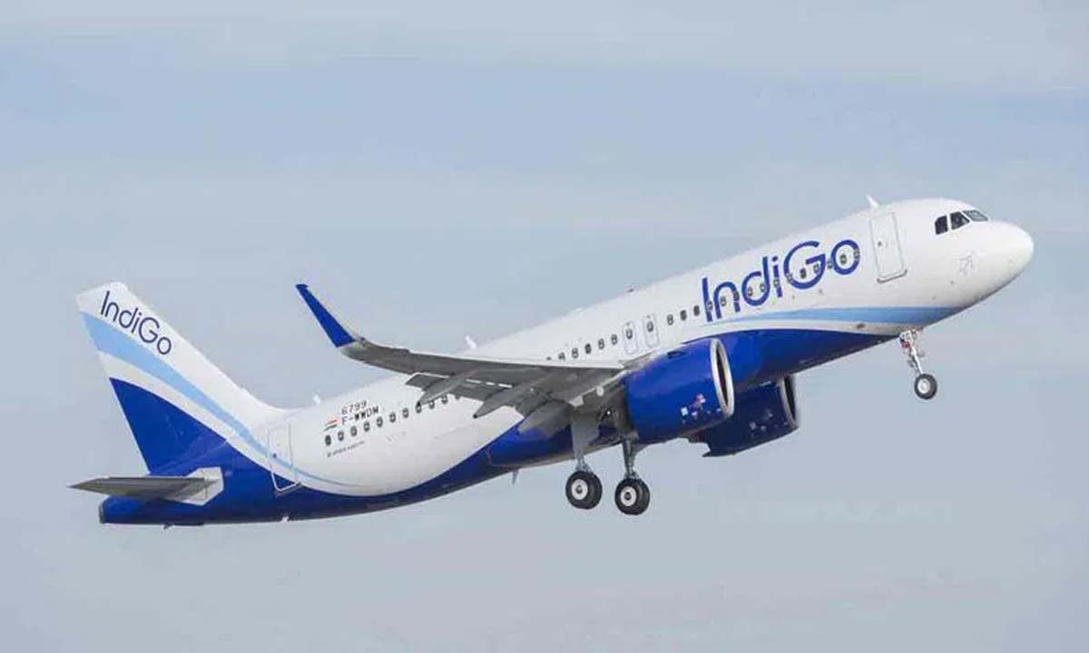 Indigo flight, passenger found sandwich, live worm