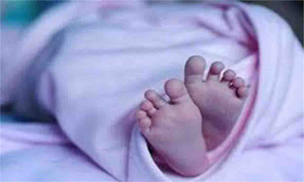 Dogs were scratching the dead body of a newborn child, sensation spread in the area