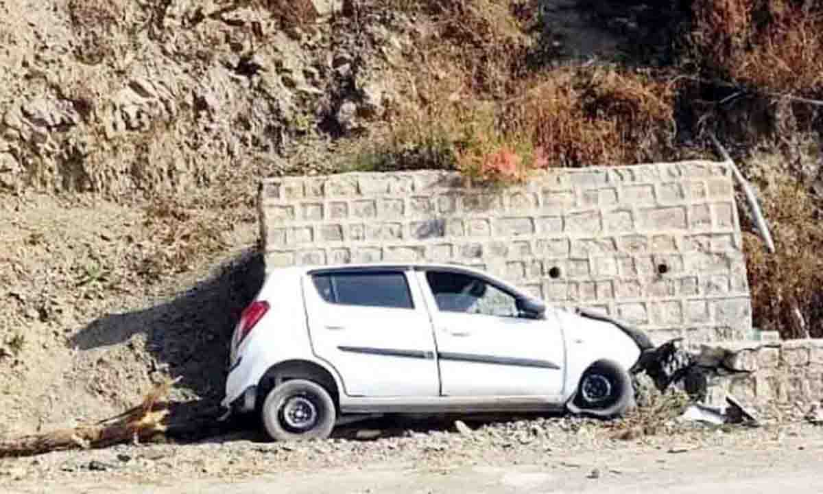 Car crashed due to sudden appearance of stray animal