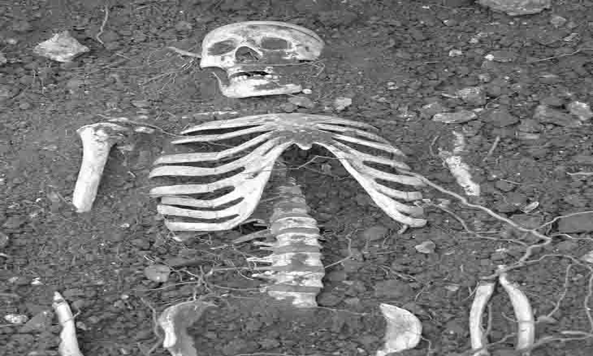 Missing minor's skeleton found in forest, drowned in reservoir