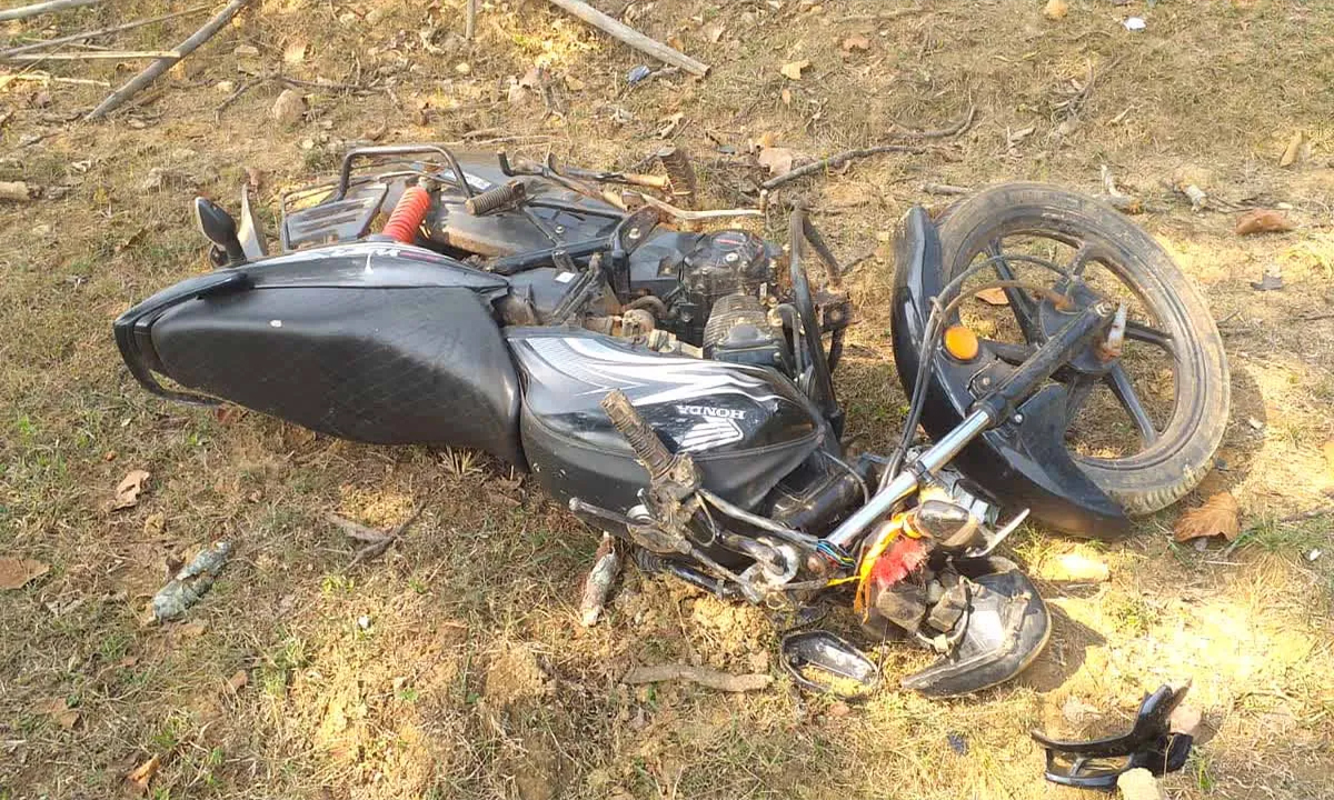Student dies after bike collides with tree, condition of another is critical