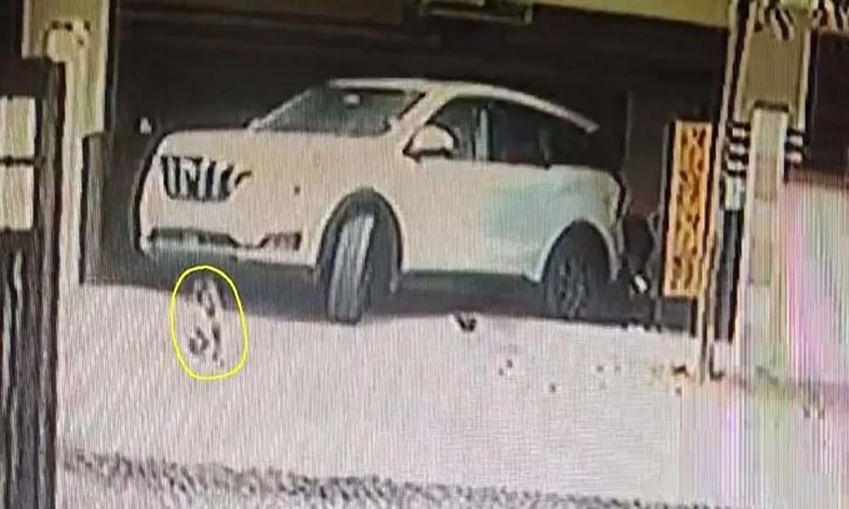 3 year old girl dies after being crushed by car, horrifying scene captured on camera