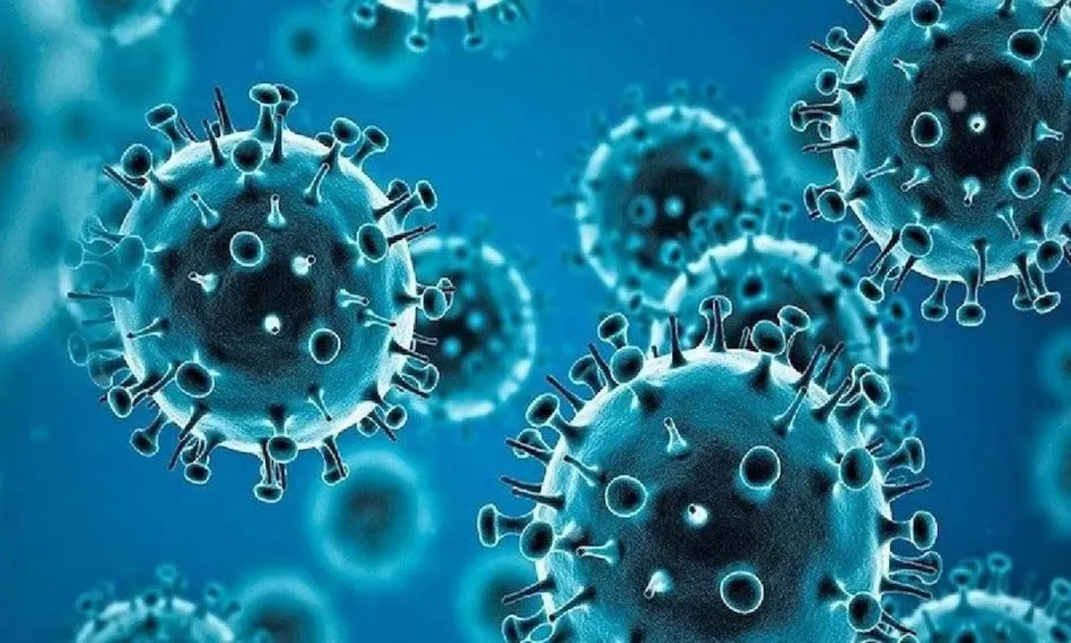 CMHO issued guidelines, danger of spread of new corona virus