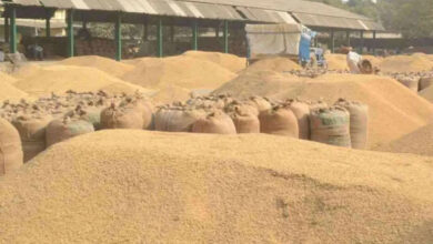 Preparations for distribution of bonus amount started, good news for farmers