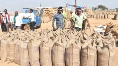 45.54 lakh metric tonnes of paddy purchased so far in the state