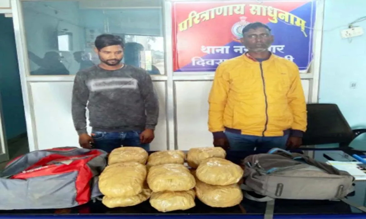 Two accused arrested with 12 kg ganja