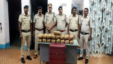 119 drug smugglers arrested with 1248 kg of drugs