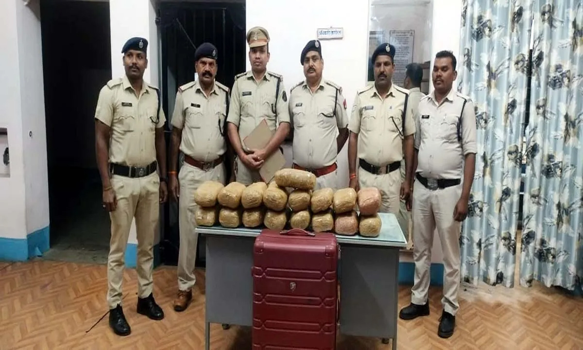 119 drug smugglers arrested with 1248 kg of drugs