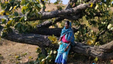 Villager died after getting buried under a tree, sensation spread