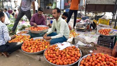 Cost of veg, non-veg food falls in December due to fall in onion, tomato prices