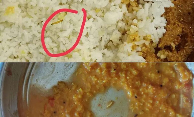 Hyderabad: Food for inmates of OU Ladies Hostel, insects found in lunch