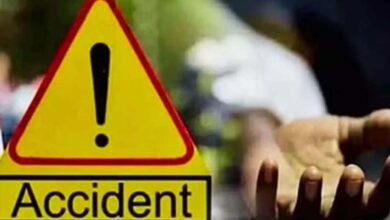 Odisha: Eight killed in three separate road accidents