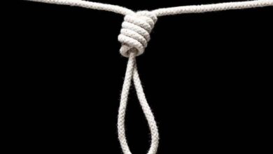 Telangana: SR University student commits suicide after failing in exam