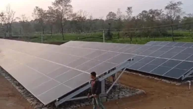 North Bengal: Tea garden comes up with mega solar power generation plant