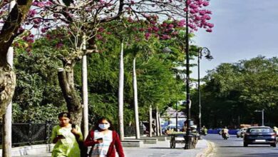 Hyderabad: Winter is receding as the days get warmer