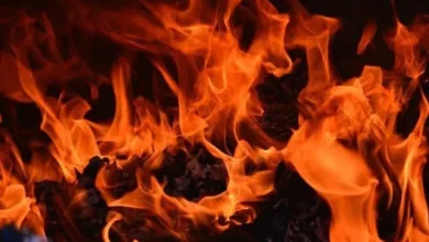 Telangana: Woman burnt to death in bus fire